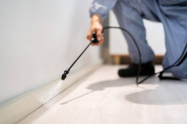 Rodent Entry Point Assessment in Millvale