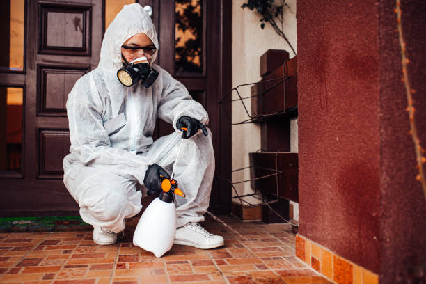 Attic and Crawl Space Rodent Treatment in Millvale