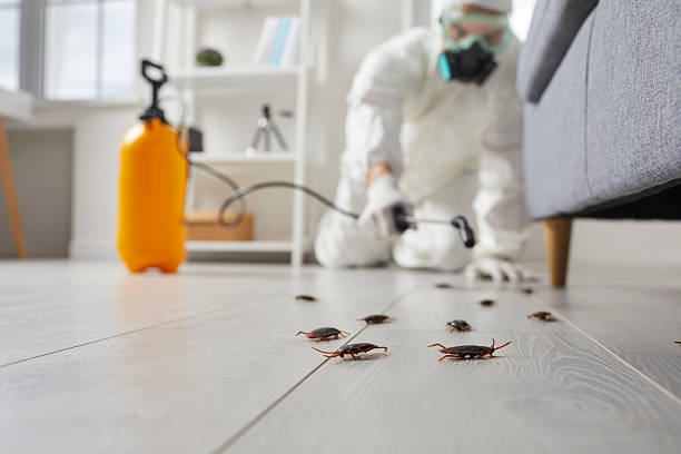 Commercial Rodent Management in Millvale